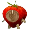 Caballo gordo random 🐴 11