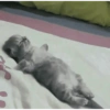 🐈-Cats-🐈 20