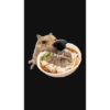 Memes de cachorro 9