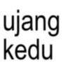 Anomali Kata Trend 2025 7