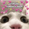 Günaydın 24