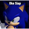 Meme Sonic Lucu 11