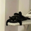 Gato 🖤🖤 8
