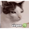 virgem m