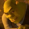 🏰🟢 SHREK MOODS 🟢🏰 6