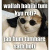 Meow Memes 😾 8