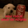 Co aquí com el ande mbid