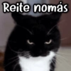 Reite nomás