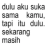 ANOMALI GOMBAL 13