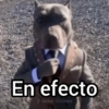 🍷🗿 MEMES ELEGANTES 🗿🍷 13