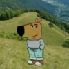 Chico tranquilo 4