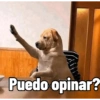 Puedo opinar?