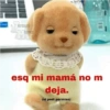 ernuri Memes M Ternurimemes esq mi mamá no m deja. (ni pedí permiso)