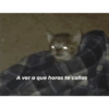 Memes 27 8
