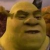 🏰🟢 SHREK MOODS 🟢🏰 8