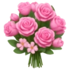 Emoji iPhone Pink 16