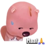 Maaf