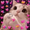 ✨️💖🐱 AMOR | GATOS 🐱💖✨️ 5