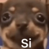 Nooo 17