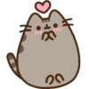 Gatinho fofo 20
