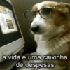 a vida é uma caixinha de despesas