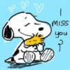 🐾•🏡Snoopy🏡•🐾 14