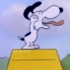 🐾Snoopy enojado 😡 2 🦴 12