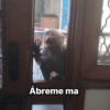 Monky moods 6