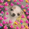 💕💖 AMOR • LOVE 💖💕 18