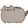 Gatinho fofo 19