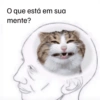 Emoções(ou nao) de um gato 13