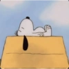 Snoopy  24