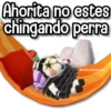 Stickers Pa Contestar1®️  2