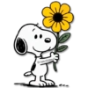 Flores Amarillas🌻🌻 5
