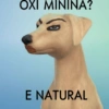 Cachorros que você deve usar 5