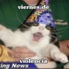 Hoy es viernes de... 14