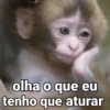 🐒 Macaco Engraçado  25