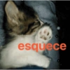esquece