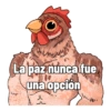 Michis y animales 2022 14