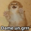 Dame un grrr