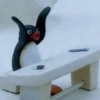 Pingu. | @ocenferios  Haki. 5