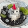 Cats (2/4) 29