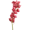 Flower  28