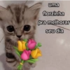 uma florzinha pra melhorar seu dia