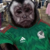 Adios MEXICO