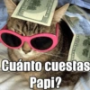 MEMESITOS PERRONES MOR💅😎 9