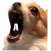 Perritos 20