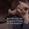 Gush sok cuek, kek gntng aj lo. Y emng ganteng tpi jgn gt y