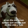 Memes Sin Sentido 3🥴🫧  30