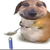 Memes de cachorro 12